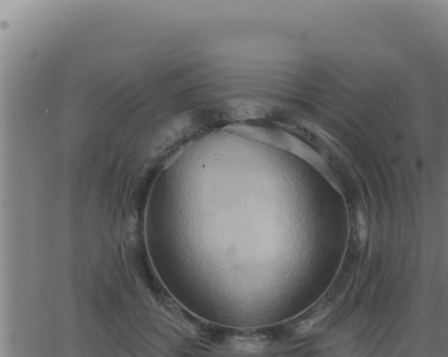 X0000062890556200601171516