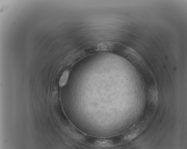 X0000062890557200601171516