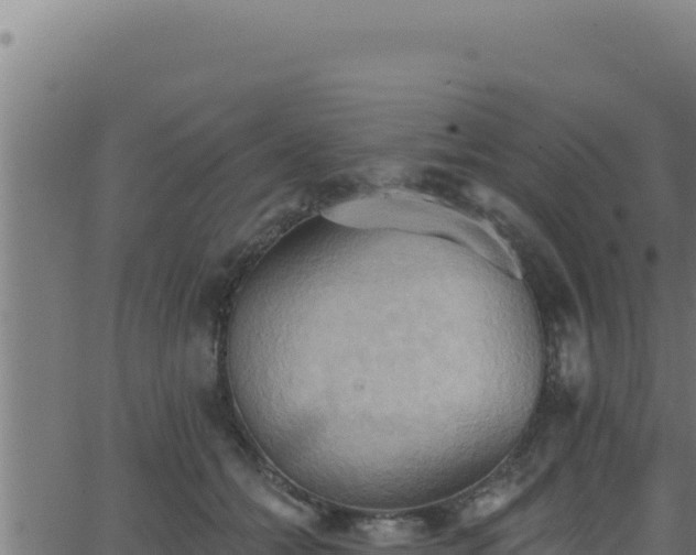 X0000062890558200601171516