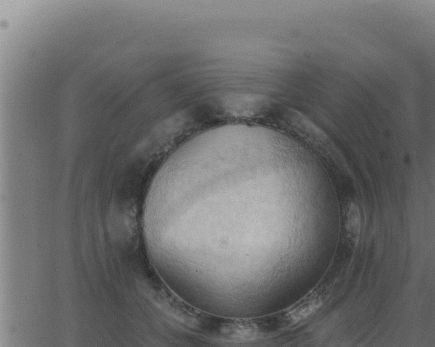 X0000062890559200601171516