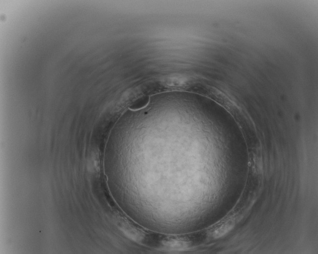 X0000062890561200601171516