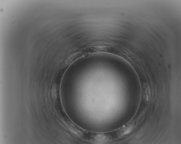 X0000062890562200601171516