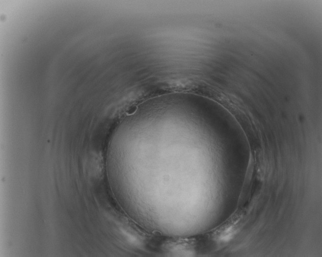 X0000062890563200601171516