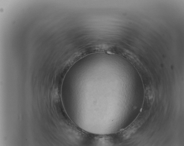 X0000062890564200601171516