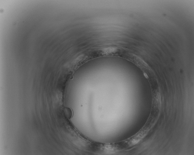 X0000062890565200601171516