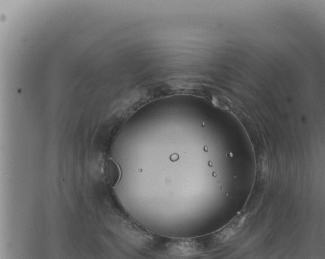 X0000062890567200601171516