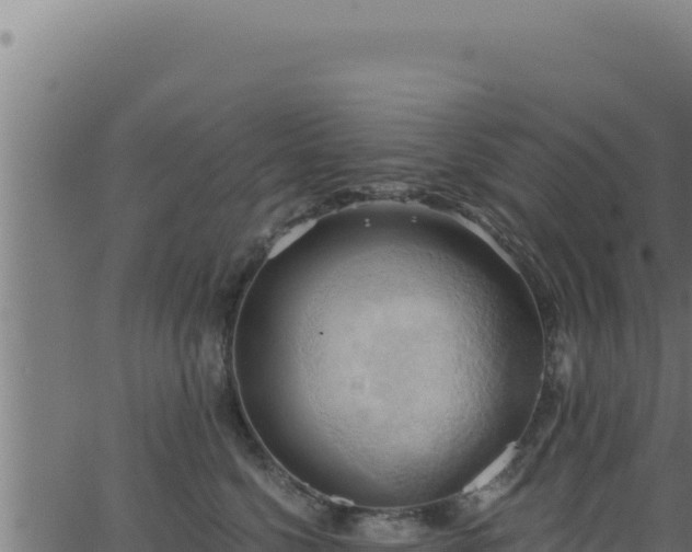 X0000062890568200601171516