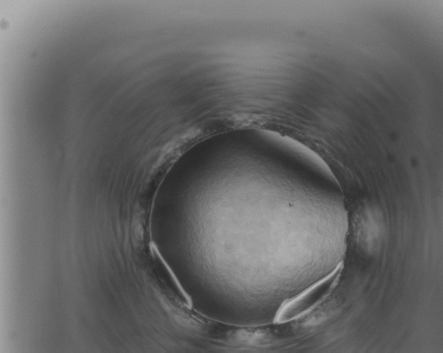 X0000062890570200601171516