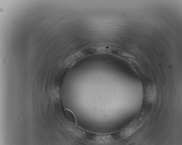 X0000062890571200601171516