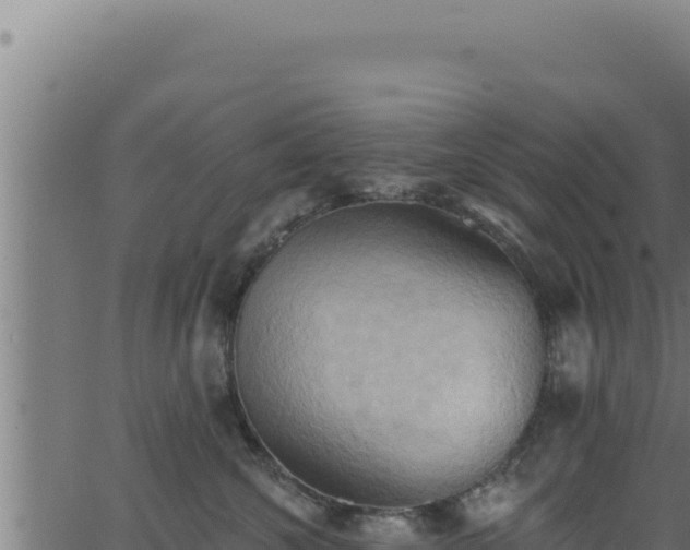 X0000062890572200601171516