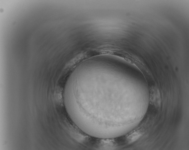 X0000062890573200601171516