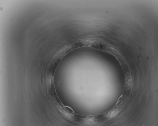 X0000062890574200601171516