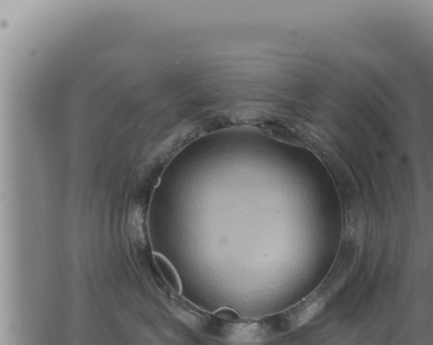 X0000062890575200601171517