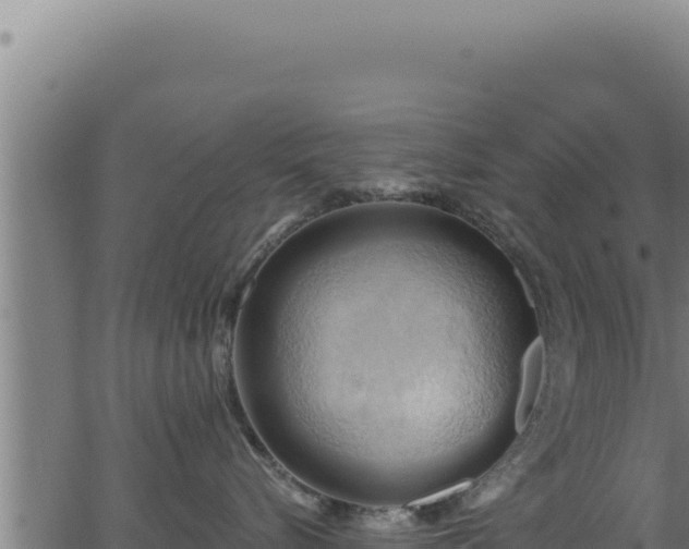 X0000062890576200601171517