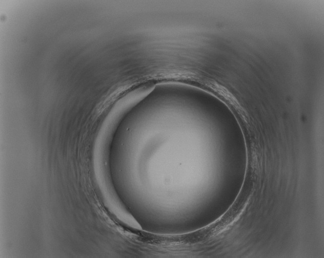 X0000062890577200601171516