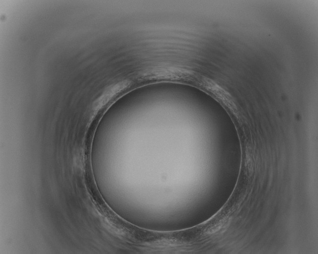 X0000062890578200601171516