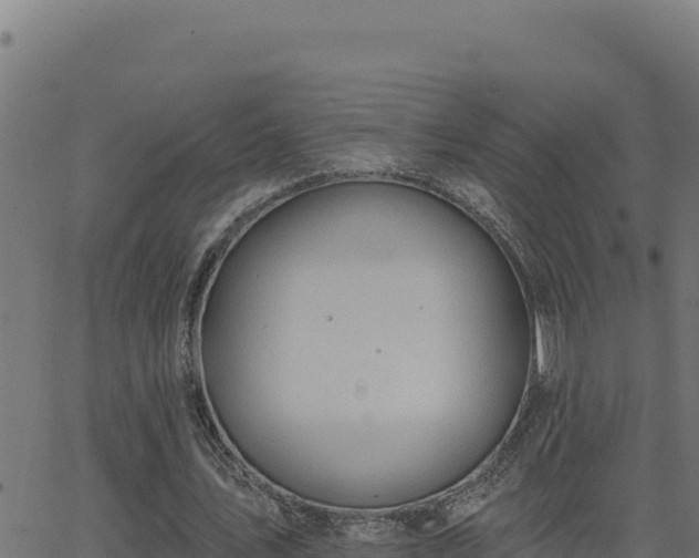 X0000062890579200601171516