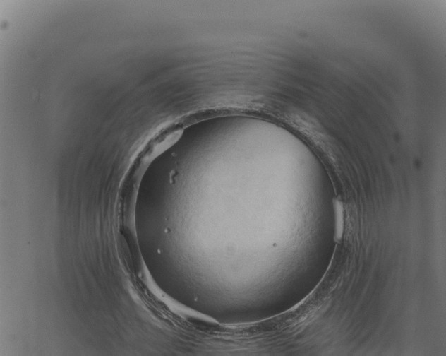 X0000062890580200601171516