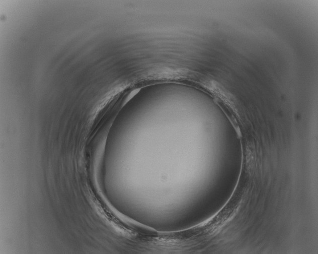 X0000062890581200601171516