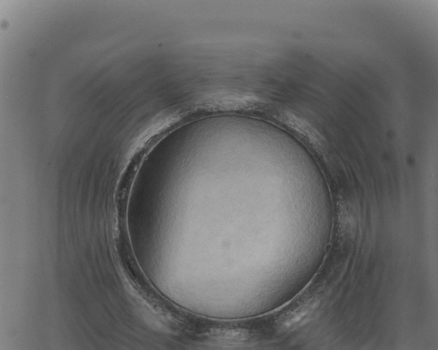 X0000062890582200601171516