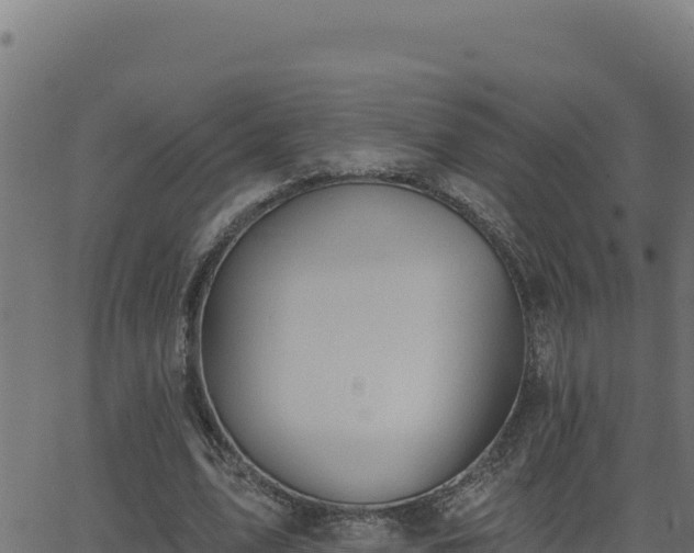 X0000062890583200601171516