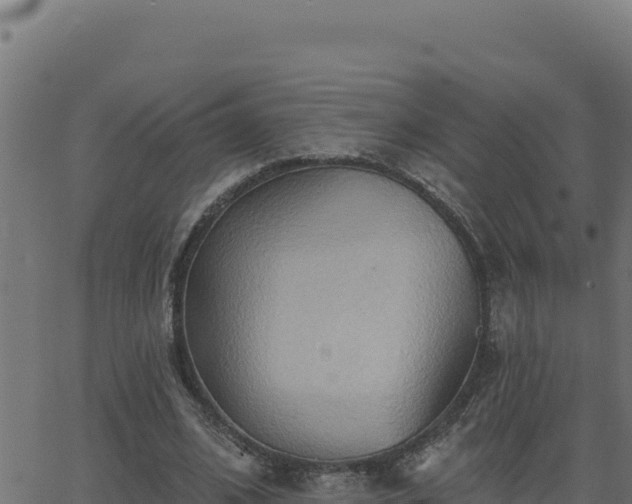 X0000062890584200601171516