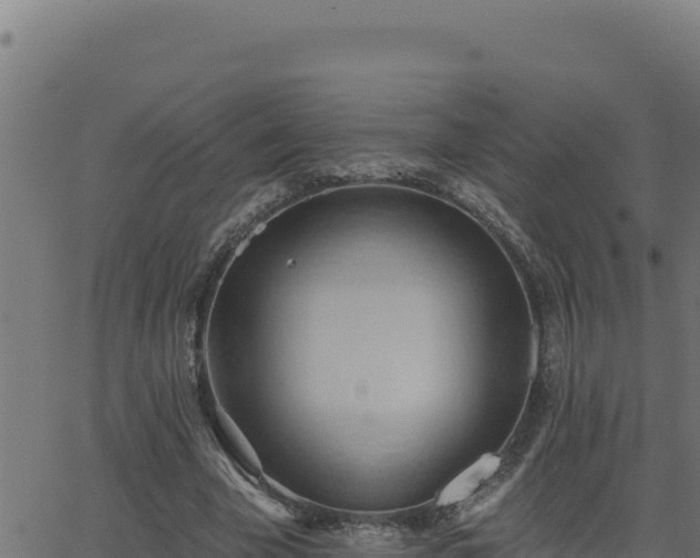 X0000062890585200601171516