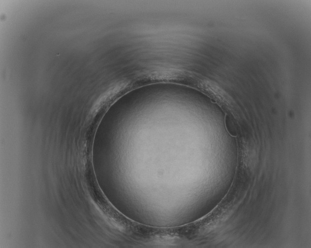 X0000062890586200601171516