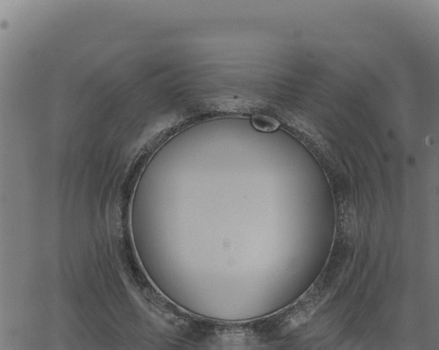 X0000062890587200601171516