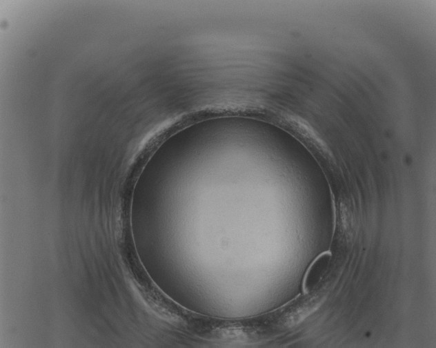 X0000062890588200601171516