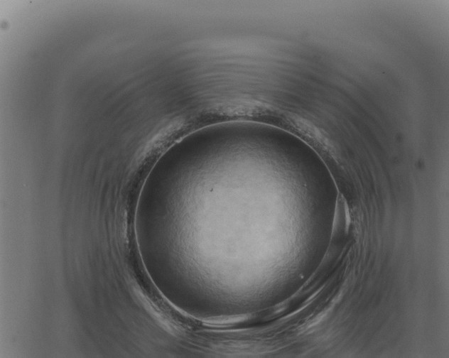 X0000062890589200601171516