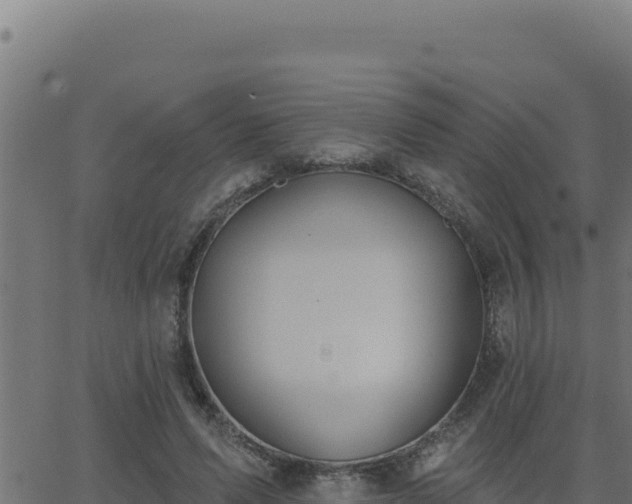 X0000062890591200601171515