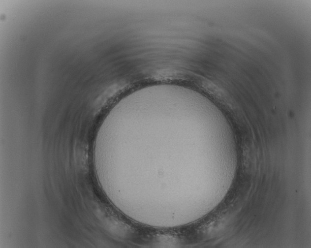 X0000062890592200601171515