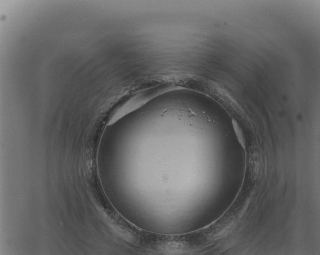 X0000062890593200601171515