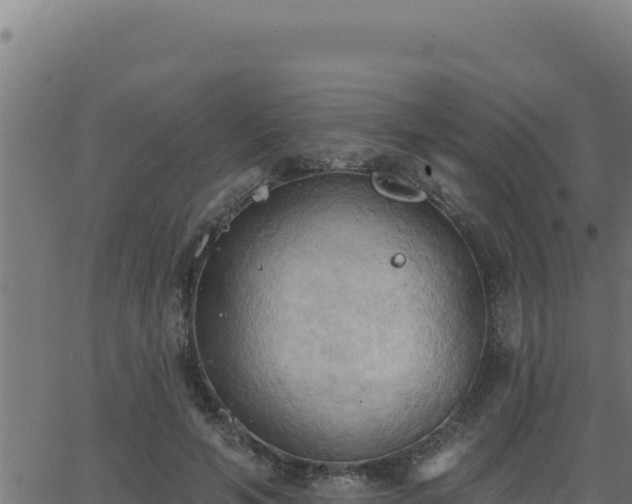 X0000062890594200601171515