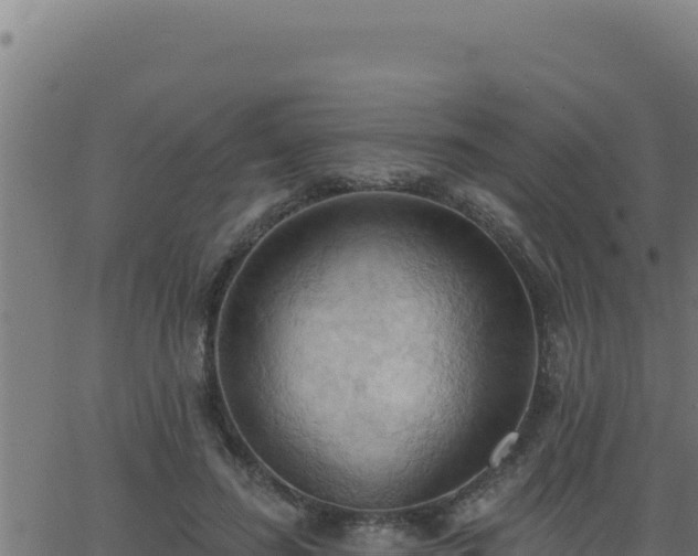 X0000062890596200601171515