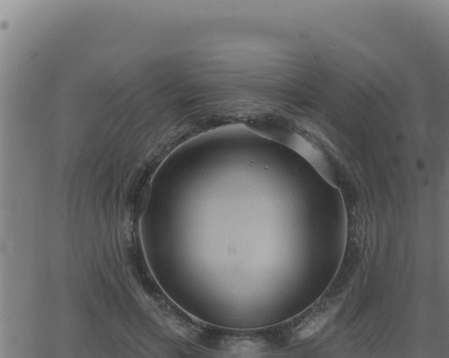 X0000062890597200601171515