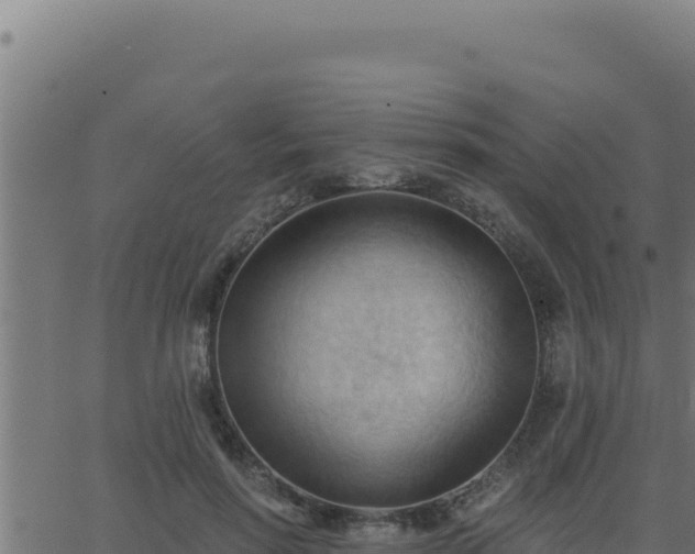 X0000062890598200601171515