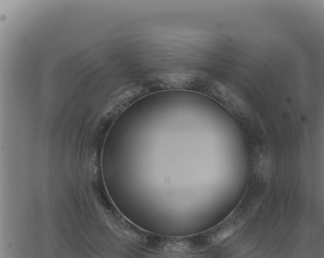 X0000062890599200601171515