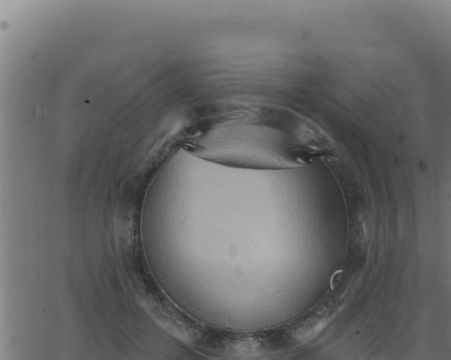 X0000062890600200601171515