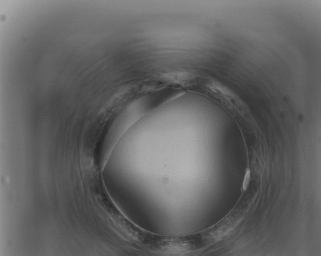 X0000062890601200601171515