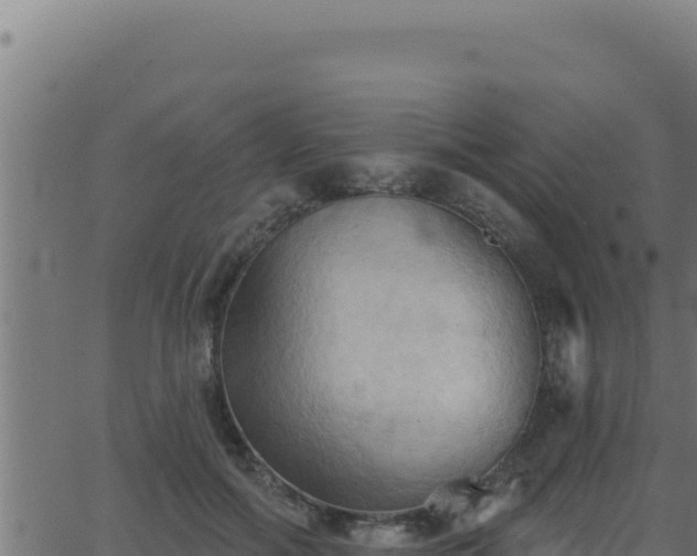 X0000062890602200601171515