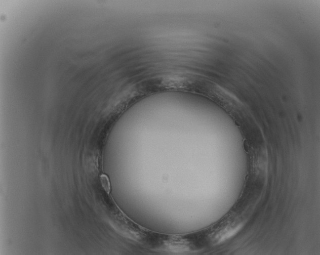 X0000062890603200601171515