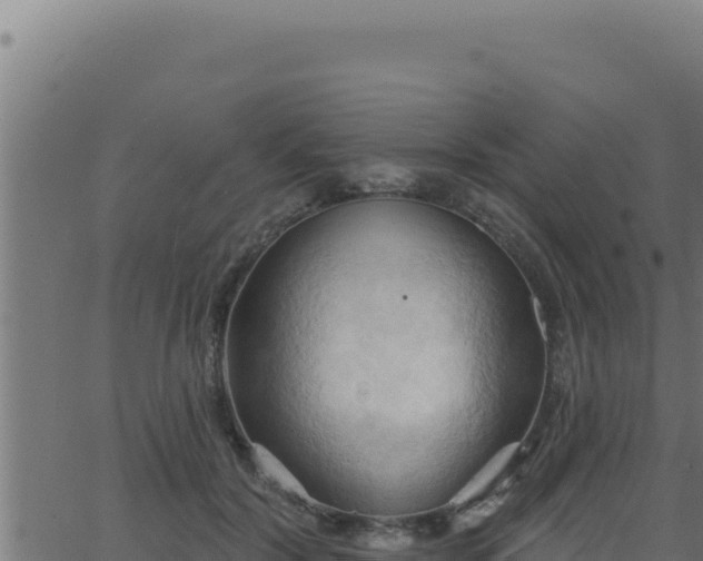 X0000062890604200601171515