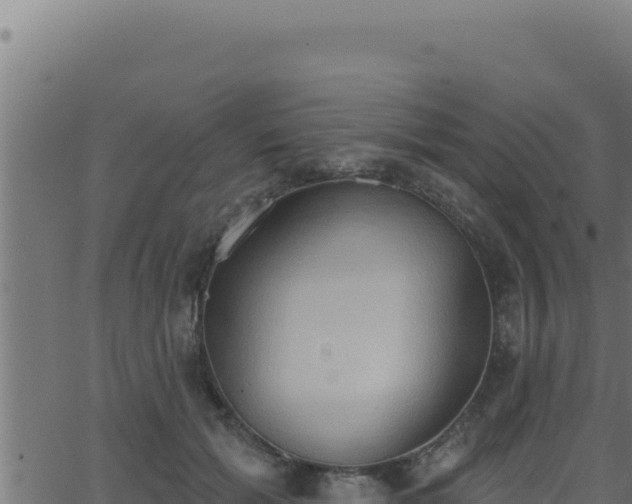 X0000062890605200601171515