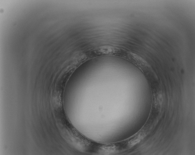 X0000062890606200601171515