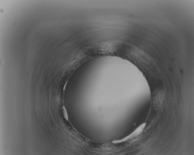 X0000062890608200601171515