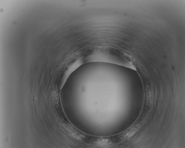 X0000062890609200601171515