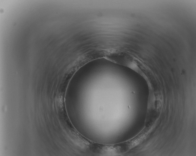 X0000062890613200601171515