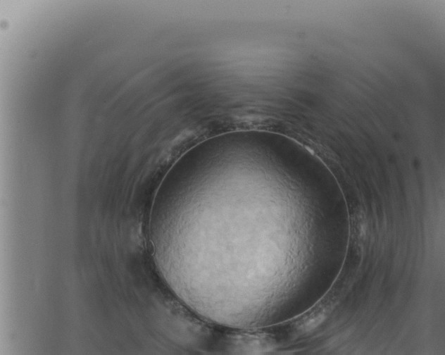 X0000062890615200601171515